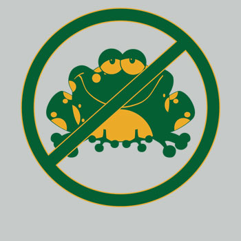 T-Shirt Illustration no toads